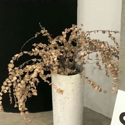 Furry插画元素技巧兽圈社群